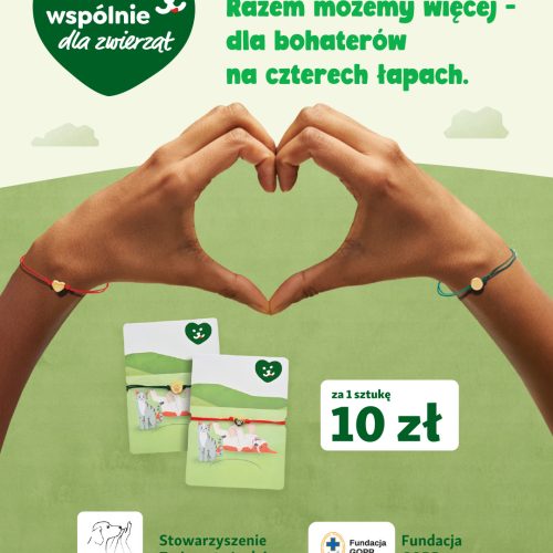 25-09-29-CSR bransoletki-baner-some-fb-bez
