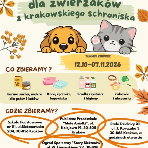 IMG-20261009-WA0038